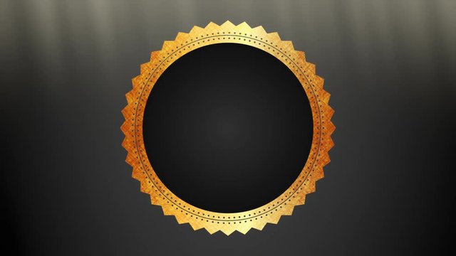 Seal icon design, Video Animation