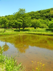 里山の代田風景