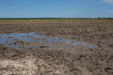 Muddy fallow field of a Louisiana plantation, blue sky reflected in mud puddle