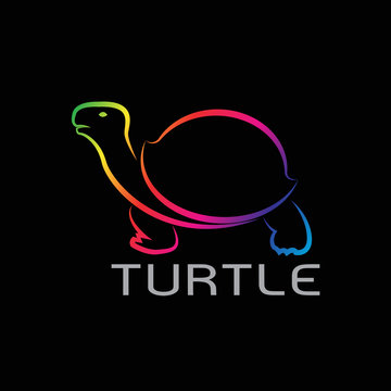 Vector images of turtle design on black background, Turtle Logo,