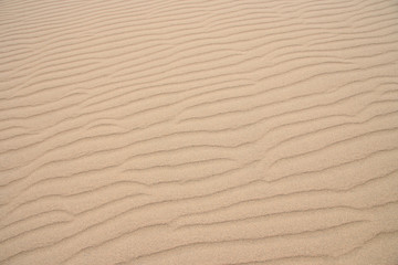 Tottori Sand Dunes in JAPAN (Japan's largest dune, a state's designated natural monument 