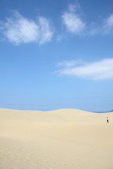 Tottori Sand Dunes in JAPAN (Japan's largest dune, a state's designated natural monument 