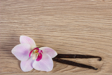 Blooming orchid and fragrant vanilla sticks, copy space for text