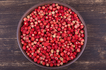 Fresh, ripe strawberries , wild berry