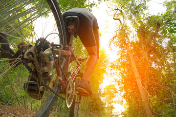 Mountain Bike cyclist riding single track at sunrise healthy lif