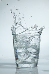 ice cubes in the water