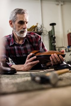 Portrait of cobbler examining a shoe
