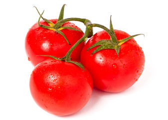 branch of three tomatoes with water droplets isolated on white