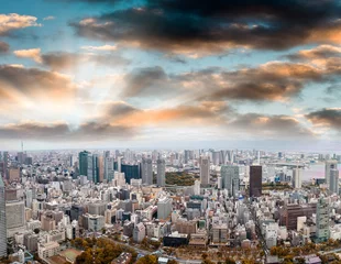 Foto op Plexiglas Aerial panoramic view of Tokyo at dusk © jovannig