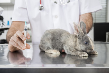 Doctor's Hand Holding Injection For Ill Rabbit On Table