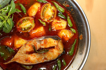 spicy soup iridescent shark