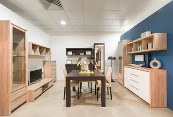 Living room interior furniture