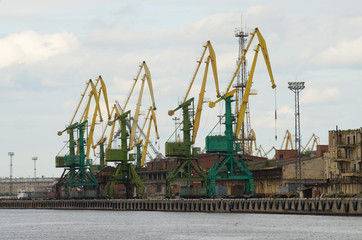 Obraz premium Tower cranes at the port.