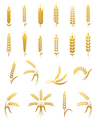 Wheat ear icon set.