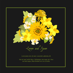 Floral daisy sunflower background vector illustration