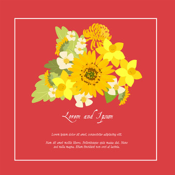 Floral daisy sunflower background vector illustration