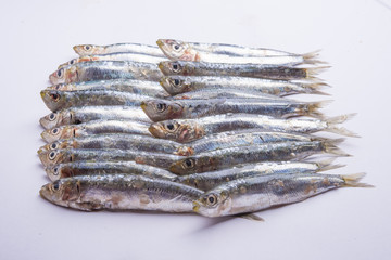 Fresh raw sardines isolated on white background