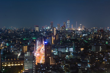Fototapeta na wymiar 東京の夜景 