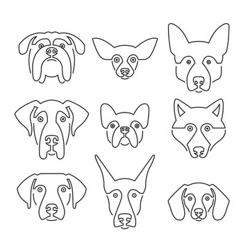 Dog Breeds