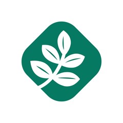 Logo leaf plant icon vector