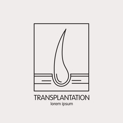 Vector line logo of of hair transplantation