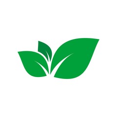 Logo leaf plant icon vector