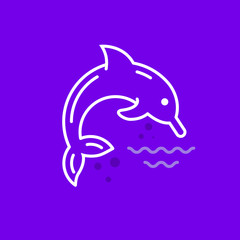 Obraz premium Dolphin