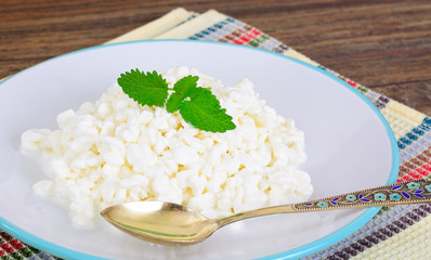 Home Dietary Fat Cottage Cheese Beaded Curd