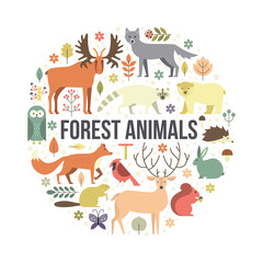 Forest Animals