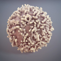 Cancer Cell