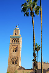 Fototapeta na wymiar history maroc africa palm
