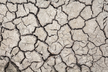Land with dry and cracked ground texture
