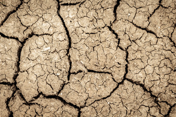 Land with dry and cracked ground texture