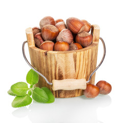 Hazelnut in the wooden bucket isolated on  white background.