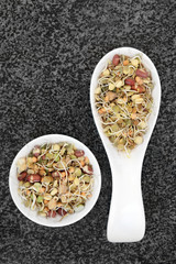 Organic Mixed Bean Sprouts