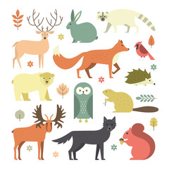 Forest Animals