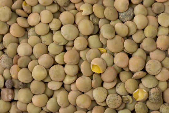Lentils as a background