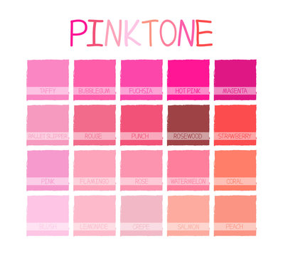Pinktone Color Tone with Name Vector Illustration
