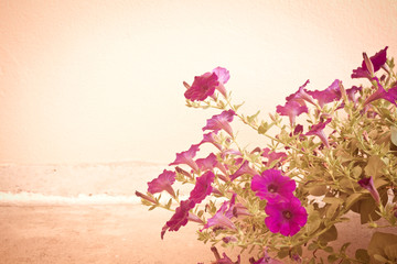 Still life with flowers on wall background - vintage tone