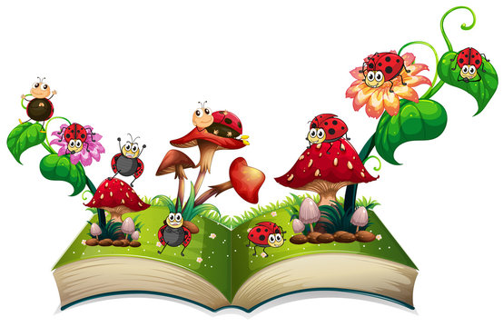 Book of ladybugs and mushroom