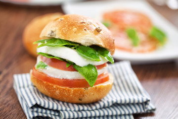 Vegetarian Sandwich