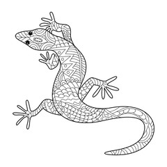 Lizard coloring book for adults vector