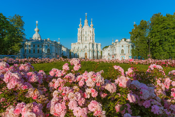 Flowers in front of Smolny Cathedral in Saint Petersburg