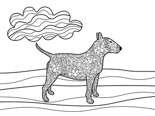 Bullterrier dog coloring book for adults vector