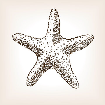 recommend clip art: Starfish hand drawn seamless pattern vector