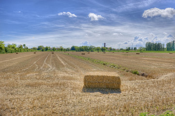 Fototapeta premium Hay bales in a summer field.
