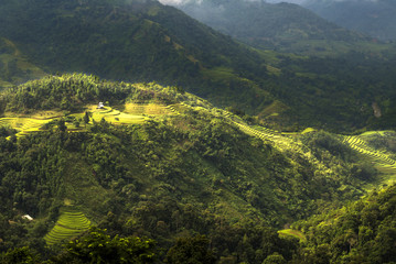 Beautiful Rice fields on terraced of  of Hoang Su Phi, Vietnam, Ha Giang province, North Vietnam on September  in rainy season it is the fresh rice fields in Vietnam landscapes.