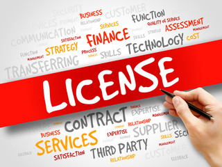 LICENSE word cloud, business concept
