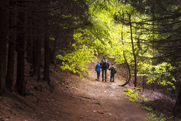 Family walking in forest