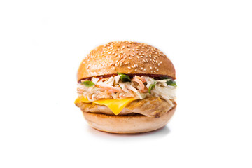 Tasty and appetizing hamburger cheeseburger on the white background